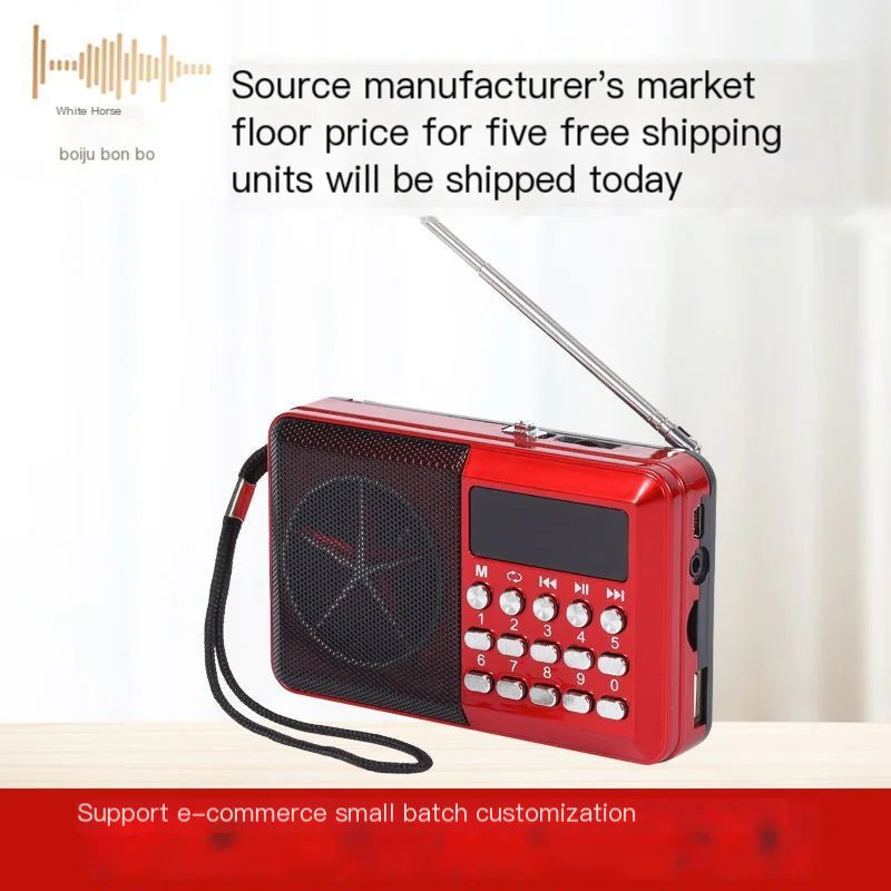 Altavoz Portátil Mini S-011 con Radio FM y Batería Recargable